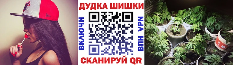 Канабис OG Kush  Купить  Алупка 